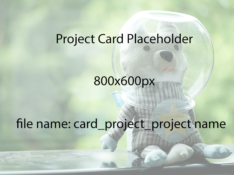 project card placeholder 